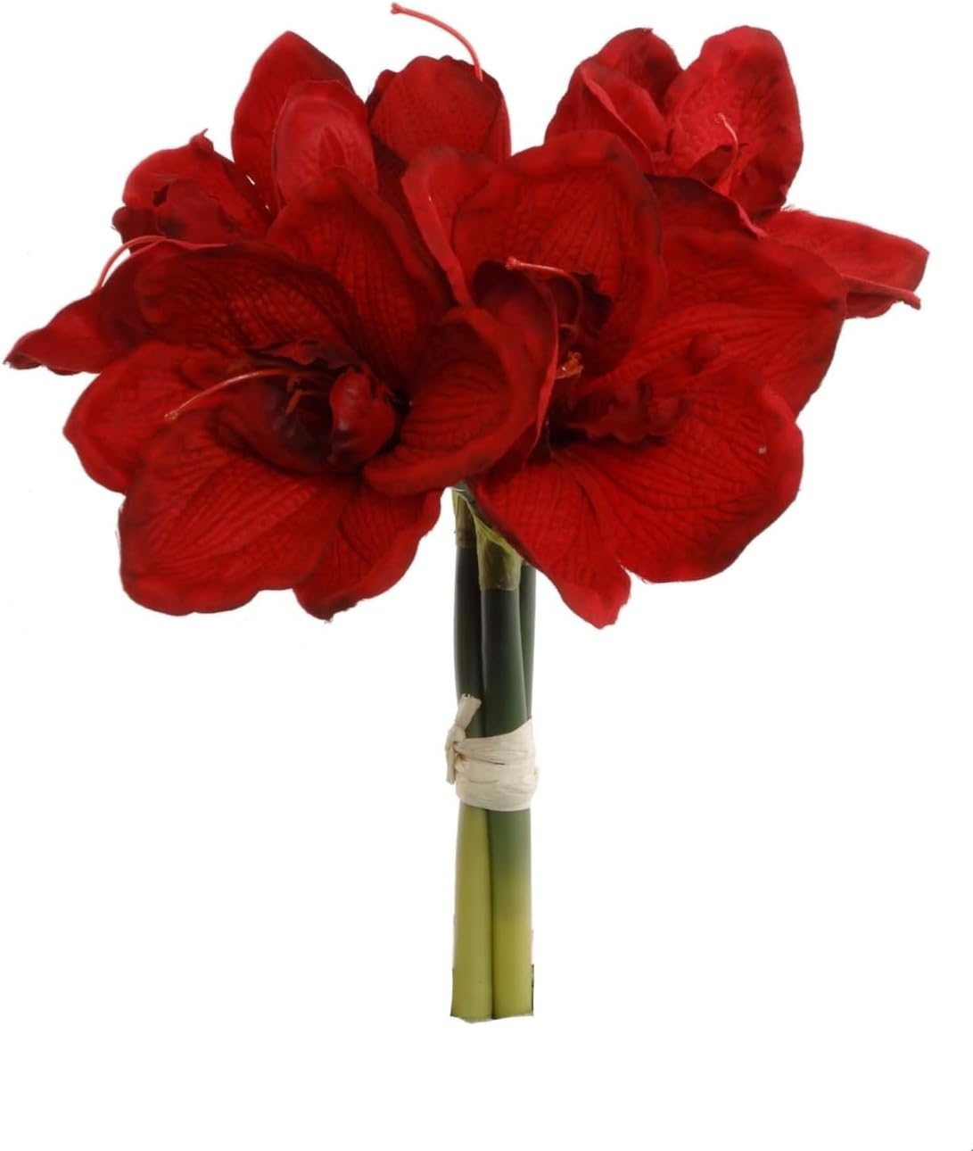 12.5" Amaryllis Bundle Set of 12 Realistic Artificial
