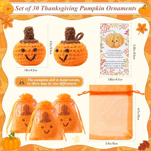 Shappy 30 Sets Thanksgiving Gifts Bulk Small Novelty Fall Pumpkins Crochet Gifts with Positive Cards Organza Bags for Fall Holiday Harvest Party Favors Home Table Decor - Image 2