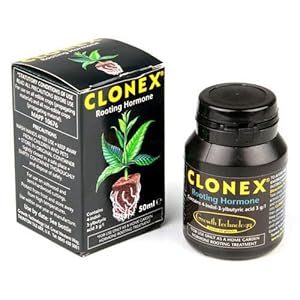 Groeitechnologie Clonex – Plant Hormone Rooting Gel Compound – Explosieve Wortels