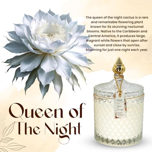 VIONAMI Luxury Scented Candle Gift – Queen of The Night Rare Flower Fragrance in Elegant Glass Jar, Decorative Soy Candles Gifts for Women, Long-Lasting 80 Hr, 14.8 oz, Luxury Candles for Women