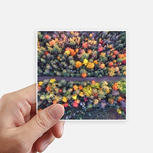 Decal multicolor sciences forestières 8Pcs autocollant carré pour ordinateur - 2
