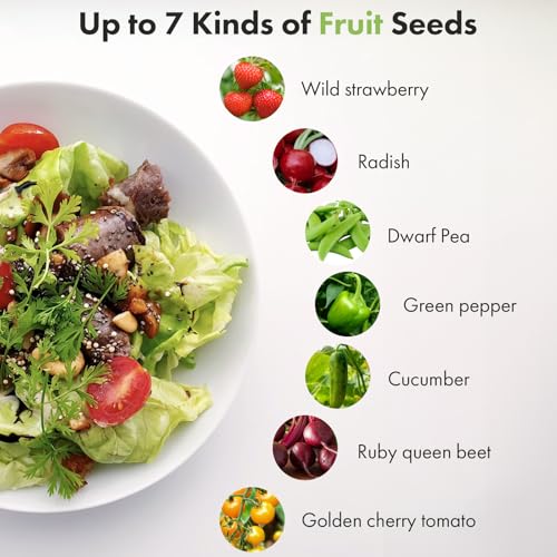 LYKOCLEAN-Red-Strawberry-Seeds-for-AeroGarden-iDOO-Hydroponics-Growing-System-7-pods-350-Fruit-SeedsInclude-Red-Strawberry-Golden-Cherry-Tomato-Green-Pepper-Cucumber LYKOCLEAN Red Strawberry Seeds for AeroGarden iDOO Hydroponics Growing System 7 pods 350 Fruit SeedsInclude Red Strawberry Golden Cherry Tomato Green Pepper Cucumber