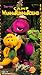 Barney's Camp WannaRunnaRound [VHS]