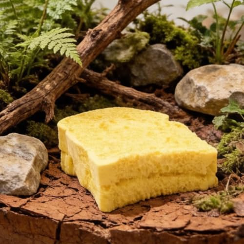 Tabla de muda de roca artificial para reptil en terrario de cría de dragón barbudo 4