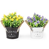 Pherypot Mini Artificial Potted Fake Fresh Flowers in Black and White Metal Pot for Home Decor - Set of 2 (Purple & Yellow with Green Grass)