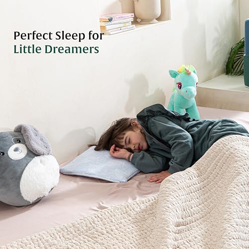 Image of The White Willow Soft Memory Foam Pillow for Kids - Slim Design for Ages 1-5, Lightweight & Breathable with Sky Blue Cover