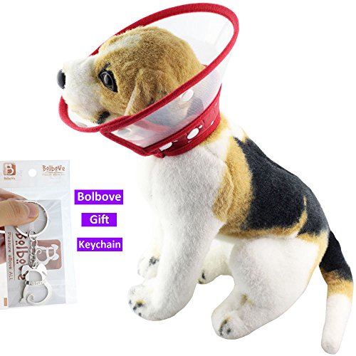 Bolbove Pet Plastic Clear Cone Recovery E-Collar With Dots Design Soft Edge For Small Dogs & Cats (Medium, Red) #TOP2