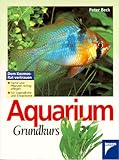  Aquarium Grundkurs