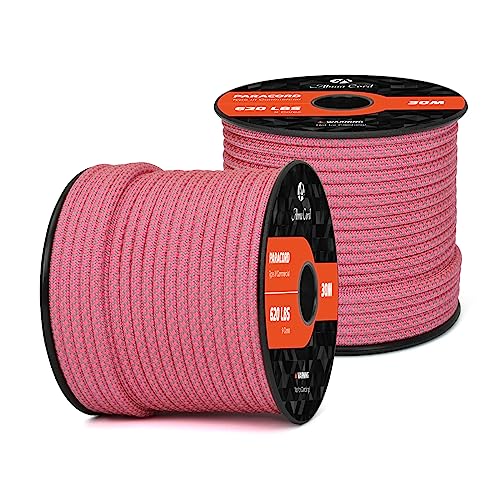 Abma Cord Paracord 620 lbs 4mm 9 Strands 100% Nylon 30M - Grey & Neon Pink, Diamond-grey & Neon Pink, 30 Meters