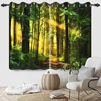 PVC Schuimplaat Hexagon - Felle Zonneschijn Door Groene Bergen In Een Bos 50x43 5 Cm Foto Op Hexagon