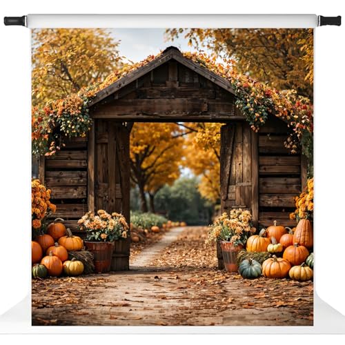 Fond de photographie vintage automne avec érable et récolte de citrouilles pour studio 3x3m