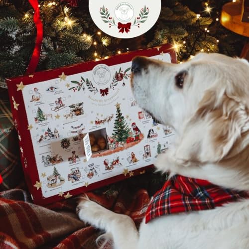Green PAWLY® XXL Hunde Adventskalender 2024 | Premium Hundeleckerlies | 420 Gramm Inhalt | 100% Lebensmittelqualität | Ohne Chemie | Muskelfleisch und Veggy