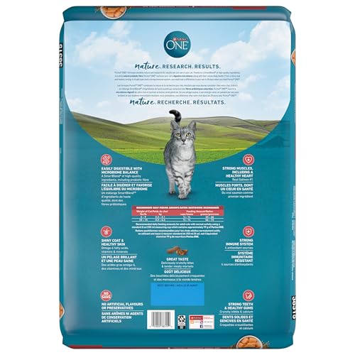 Purina ONE Dry Cat Food, Salmon & Rice Formula - 7.2 kg Bag - Image 4