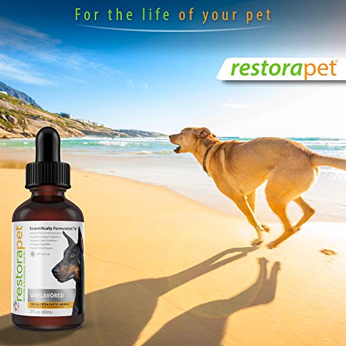 RestoraPet Organic Bacon Flavor Pet Supplement for Dogs, Cats & Horses | Healthy & Safe Antioxidant Liquid Drops | Anti-Inflammatory Multi-Vitamin | Increases Mobility, Energy & Reduces Joint Pain - Thumbnail 6