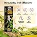 Aeris Health Herbal Flavored Air Device | 100% Natural Mullein, Thyme, Eucalyptus & Menthol | Smokeless Inhaler | Crisp Menthol Freshness for Clean Breathing