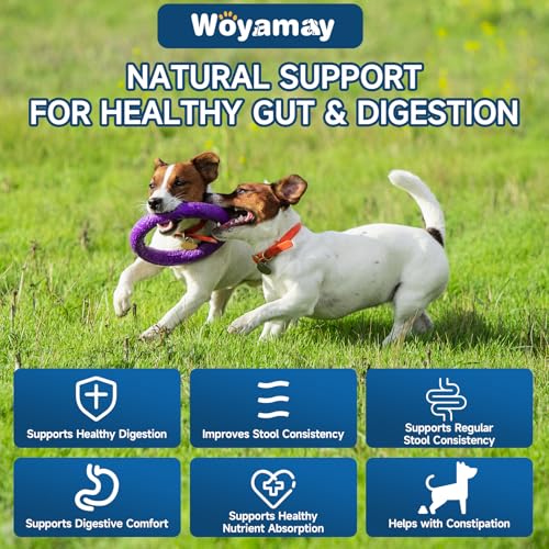 Woyamay Probiotics for Dogs, Dog Probiotics for Gut Support & Overall Wellness, 200 Chicken Flavour Soft Chews, Probiotic Chews for Dogs, Supports Gut Balance|Skin Comfort|Digestive Care for All Dog - Image 4