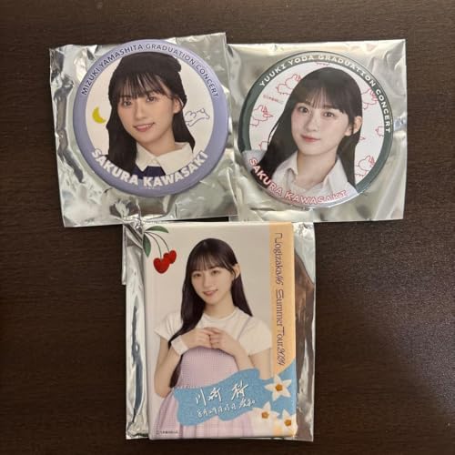  RR ^cS󑲃R ^Ă̑ScA[ m XNGAʃob`