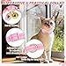 EXPAWLORER Bunny Ear Cat Collar with Bell, Soft Breakaway Kitten Collar with Bow and Accessory, Pink Girl Cat Collars with Safety Quick Release Clasp, Pet Collar for Valentine's Day (Heart)