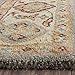 SAFAVIEH Antiquity Collection 6' x 9' Blue/Ivory AT847A Handmade Traditional Oriental Premium Wool Area Rug