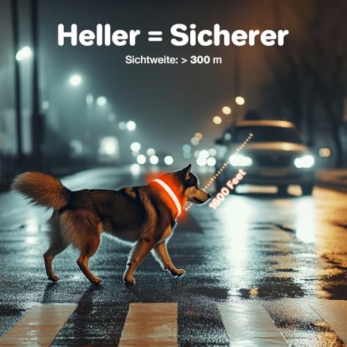 Leuchthalsband Hund, Hundehalsband Leuchtend Aufladbar, LED Halsband für Hunde Leuchtband Einstellbar Wasserdicht mit 3 Lichtmodi… – Ansicht 5