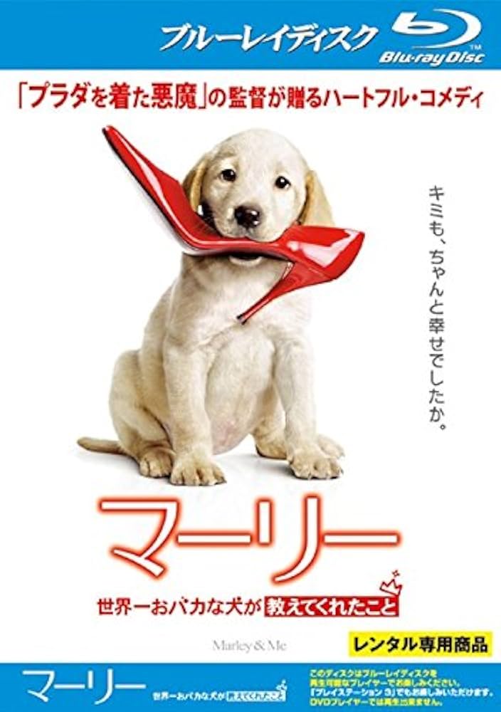 マーリー 世界一おバカな犬が教えてくれたこと (特別編) [DVD] oyj0otl Amazon.co.jp: マーリー 世界一おバカな犬が教えてくれたこと