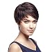 Style Icon 5" Cute Short Pixie Wigs with 100% Brazilian Hair (DARK BROWN, Side Swept Bangs) - Pixie Cut Wigs for White Women - Human Hair Wigs Caucasian Wigs - Short Straight Wig Beauty Personal Care