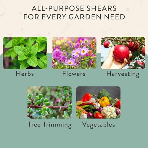 Modern Sprout Pruning Shears, Herb Snipping Scissors, Lightweight Gardening Tools W/Easy Lock, Flower Cutter Garden Shears, Carbon Steel Blade + Reusable Holster (Green, 1-Pack) - Image 10