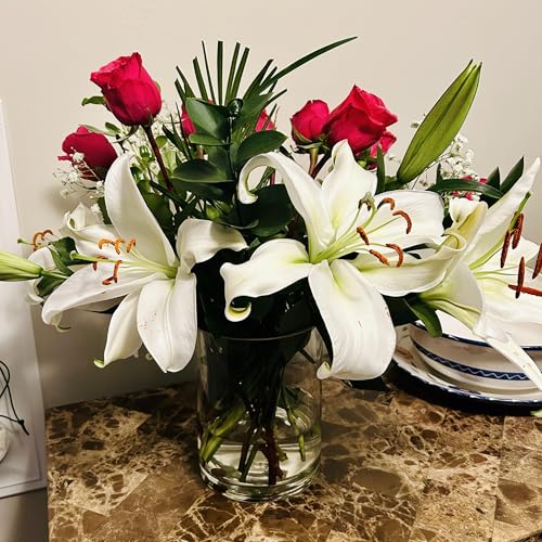 What is Truth? Podcast Por  arte de portada