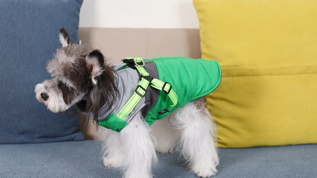 Savlot Hundemantel Winter - Reflektierende Wasserdichte Jacke Für Hunde