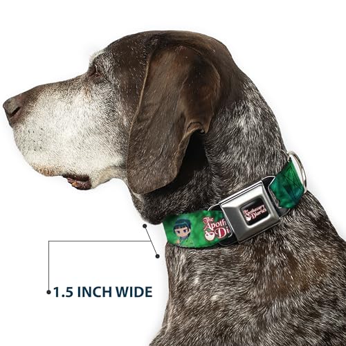 Collier chien The Apothecary Diaries pour balades et sorties - 8