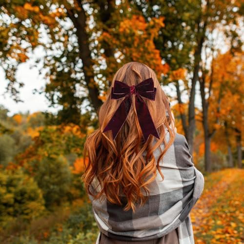 Lazos para el pelo de terciopelo con clips estéticos para mujeres y niñas 2