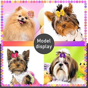 50pcs Pet Small Dog Hair Bows, Bulk Solid Color Puppy Dog Hair Bows with Rubber Bands, Mix Handmade Yorkie Dog Bows with Rhinestone for Doggie Cat Bunny Hair Grooming Accessories 50pcs Pet Small Dog Hair Bows, Bulk Solid Color Puppy Dog Hair Bows with Rubber Bands, Mix Handmade Yorkie Dog Bows with Rhinestone for Doggie Cat Bunny Hair Grooming Accessories