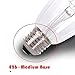 6Pack DC 12 Volt Light Bulb ST64 Soft White 2700k 4W LED Edison Filament E26 Screw Base Lamp Low Voltage Ferry RV Marine Boat Solar Theatrical Production Stage Prop Retro Landscape Industrial Lighting