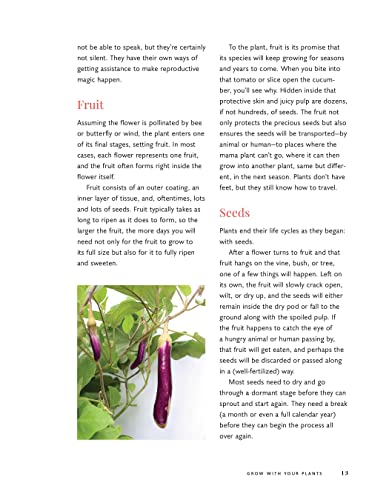 Leaves, Roots & Fruit: A Step-By-Step Guide To Planting An Organic Kitchen Garden #TOP4