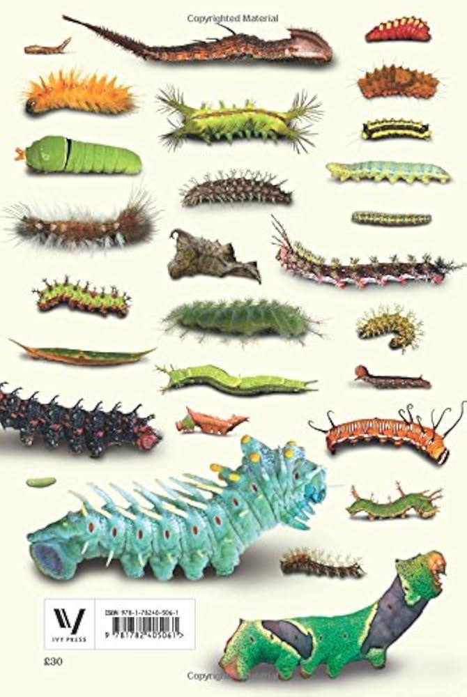 Amazon.co.jp: The Book of Caterpillars: A life-size guide to