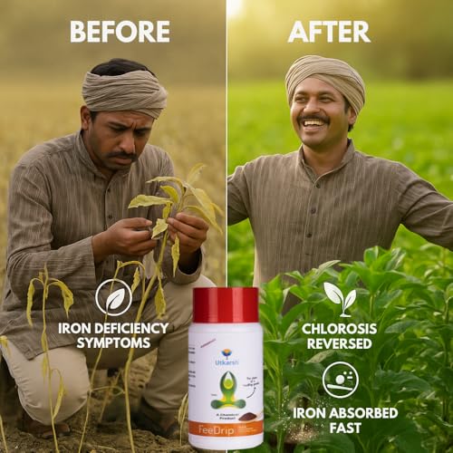 Image of Utkarsh FeeDrip - Fe 6% EDDHA Chelated (100% Water Soluble Chemical for Soil Application) (250 gm; Pack of 1)