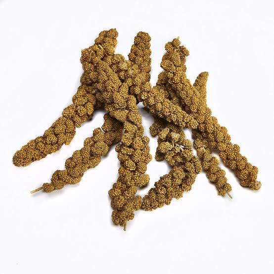 Millet Spray for Birds, Natural Sun-Dried Millet for Birds Original Parakeet Food & Treats Spray Millet for Parakeets Parrots Cockatiels Lovebirds Finches Budgies Hamsters (200 gram)-image-15