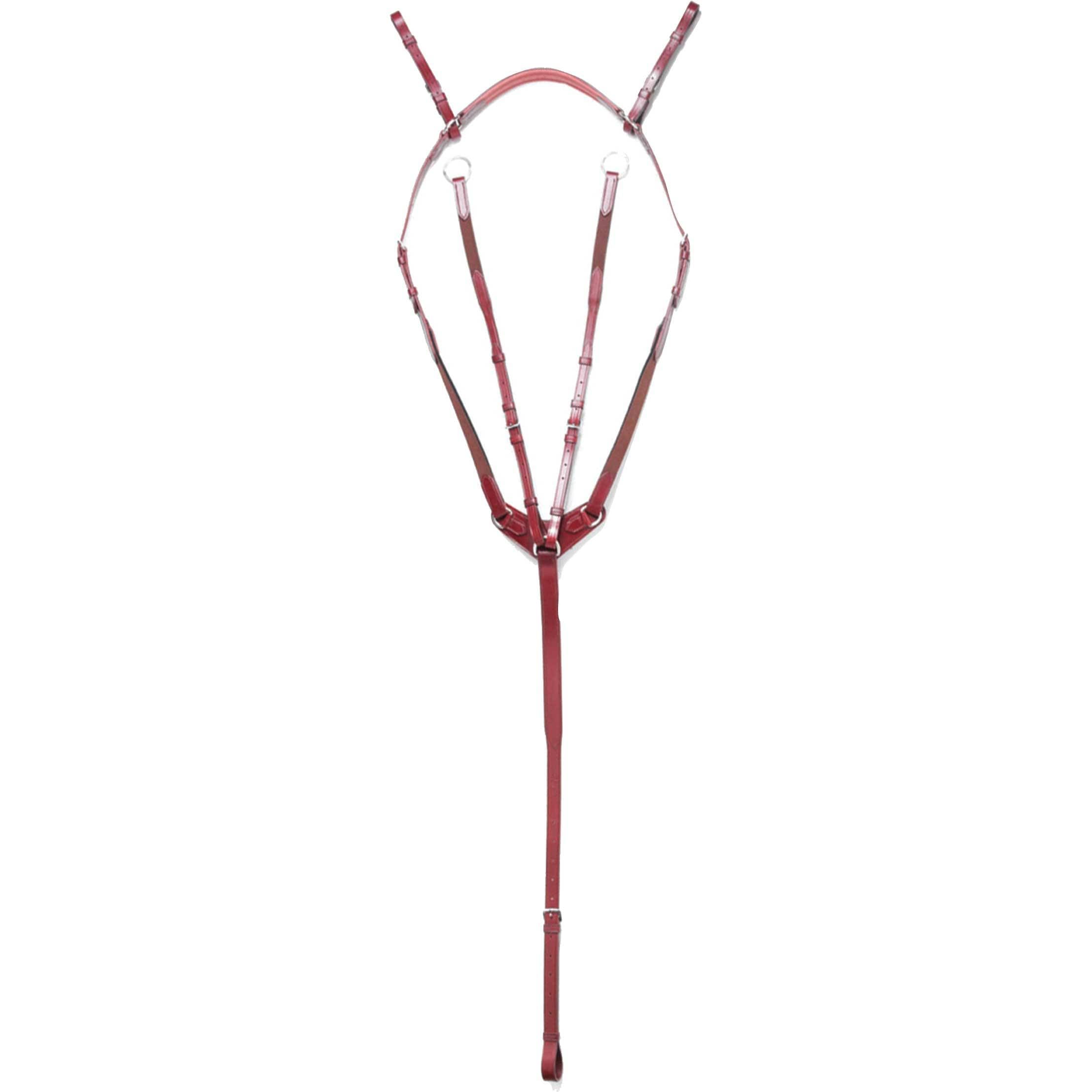 Vespucci Breastplate w/Run Martingale Cob Brown