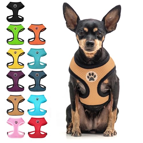 BINGPET Small Dog Harness, No Pull Dog Harness Small...