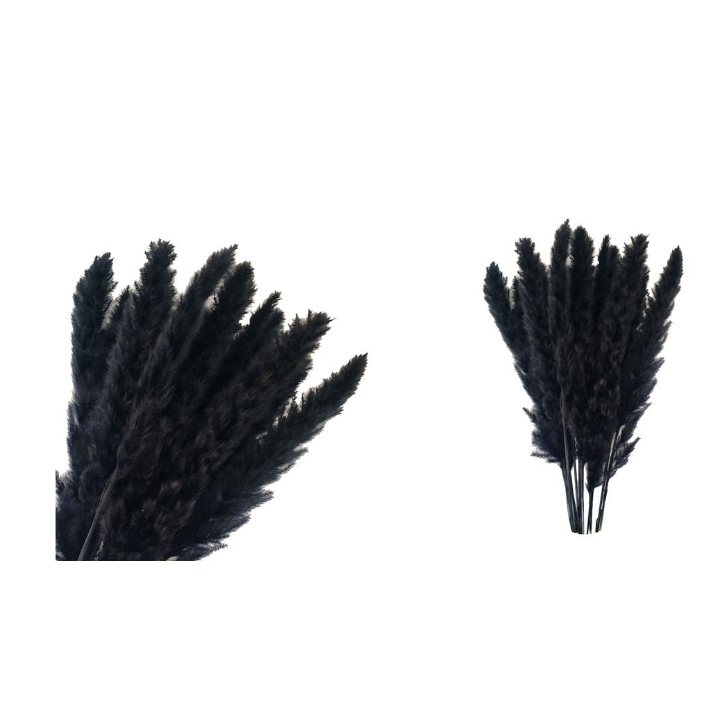 bnf® 30x Dried Pampas Grass Phragmites Reed Flower Bunch Home Wedding Decor Gifts | Home Decor-image-43