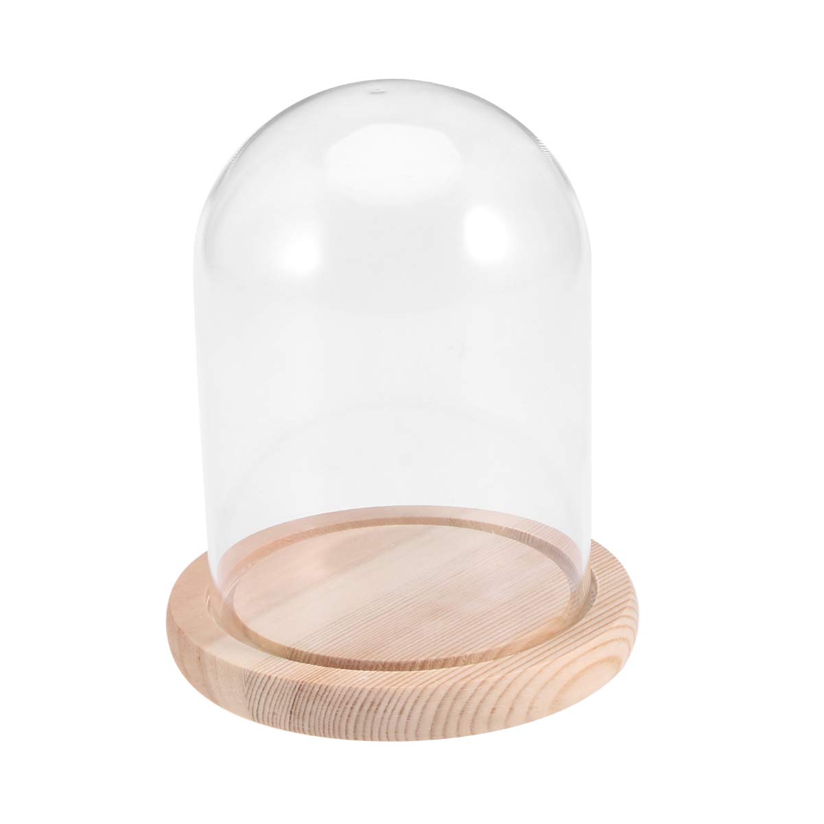 Buy BESPORTBLE Glass Display Dome Decorative Clear Glass Dome with Wood
