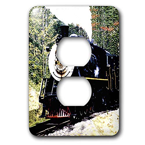 3dRose Train 2 plug outlet cover