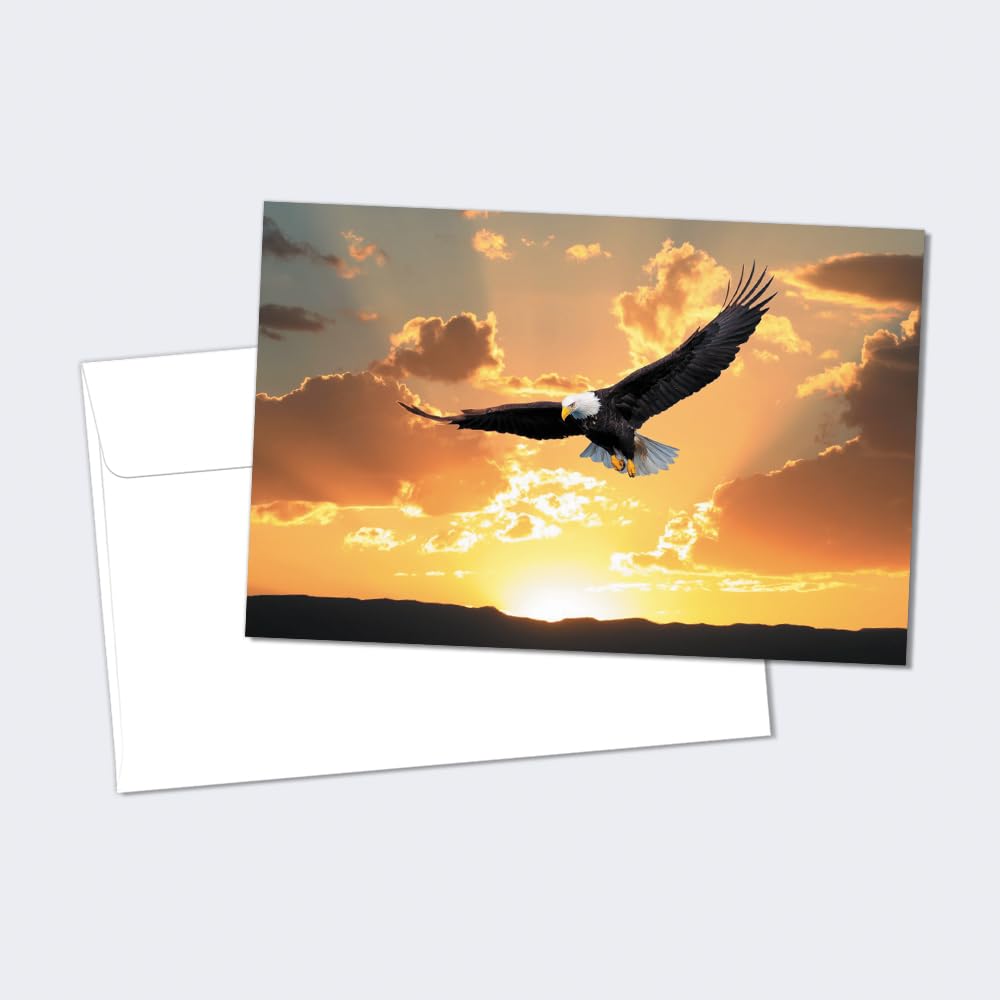 Tree-Free Greetings EcoNotes Stationary- Blank Note Cards with Envelopes, 4" x 6", Bald Eagle Soaring, USA Themed, Boxed Set of 12 (FS56115)