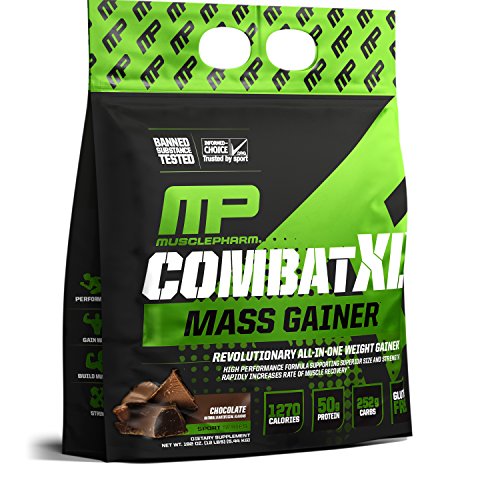 The 10 Best Mass Gainer Supplements To Buy