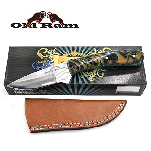 Old Ram Collection Sharp Heavy Duty Durable Fixed Blade Hunting Skinner Knife w/Leather Sheath (503GP)