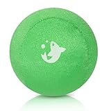 Serenilite Hand Therapy Stress Ball - Optimal Stress Relief - Great for Hand Exercises and Strengthening (Kiwi)