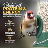 10KG SACK OF SUNFLOWER HEARTS - WILD BIRDS FOOD - High Energy Bird Seed, Bird Feed for Garden Birds (10 KG) (10 KG) - Image 4