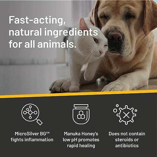 Absorbine-Silver-Honey-Hot-Spot-Wound-Care-Ointment-2oz-Tube-Manuka-Honey-MicroSilver-BG-Medicated-for-Dogs-Cats-Small-Animals