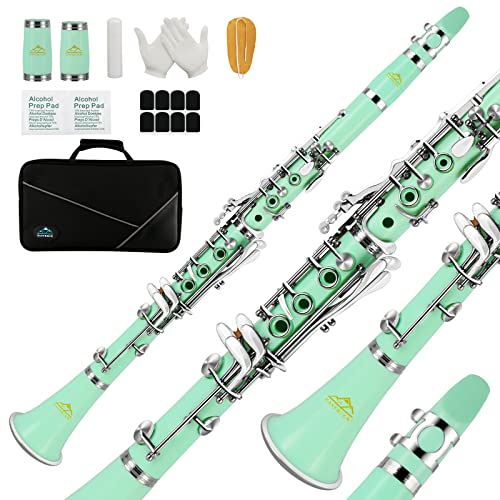 EASTROCK Clarinet Bb Flat 17 Nickel Keys Green Beginner Clarinet for Student with 2 Barrels Hard Clarine Cas and Cleaning Kit