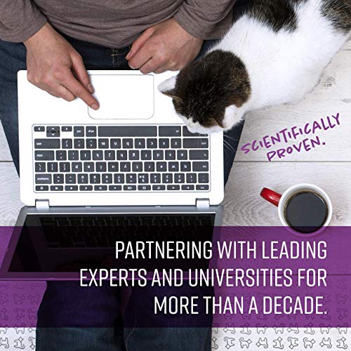 Sentry Behavior And Calming Collar For Cats, 1Ct, Purple #TOP4